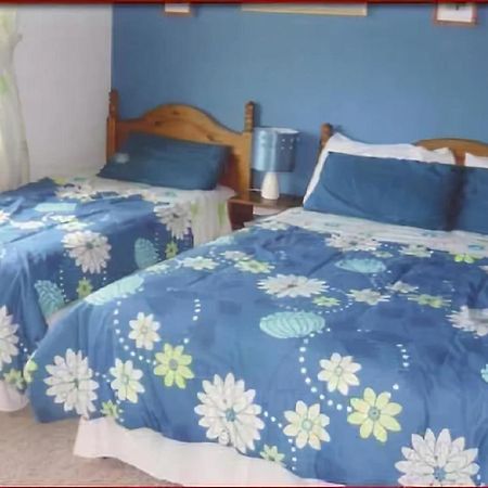 The Yellow Rose B&B Belderg Экстерьер фото