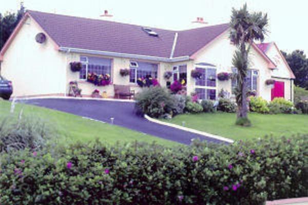 The Yellow Rose B&B Belderg Экстерьер фото
