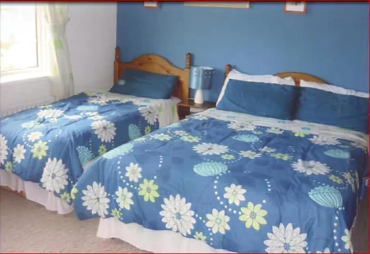 The Yellow Rose B&B Belderg Экстерьер фото